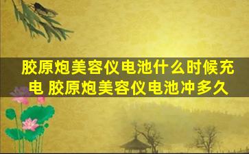胶原炮美容仪电池什么时候充电 胶原炮美容仪电池冲多久